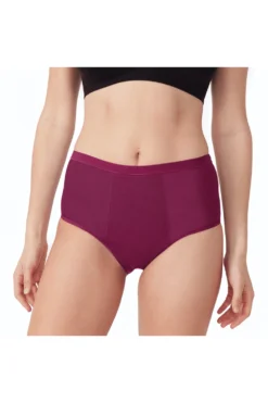 Period Full Brief Plum (1pcs)