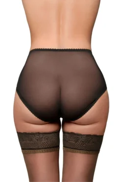 Betty Sheer Crotchless Brief -Stockings Shop simply vintage betty sheer crotchless brief p4197 28158 zoom scaled
